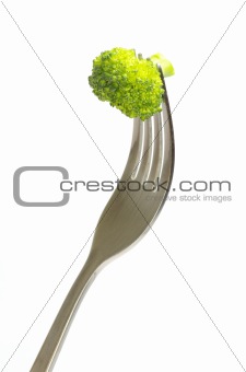 fork and broccoli 