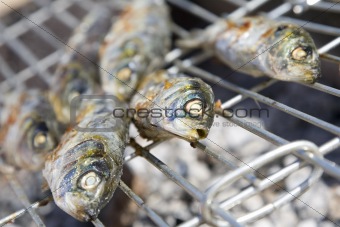 Sardines cooking on barbecue