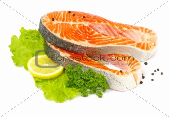  salmon 
