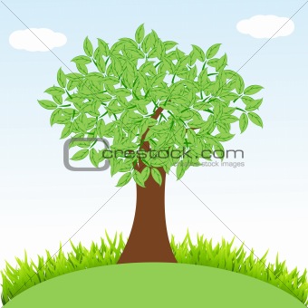 natural tree with grass
