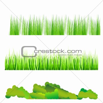 natural grass