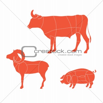 cuts-cow-mutton-pig