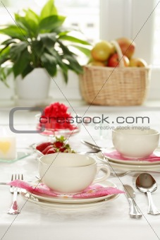 Home table setting