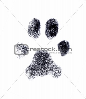 Dog fingerprint