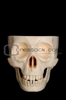 Funny Skull