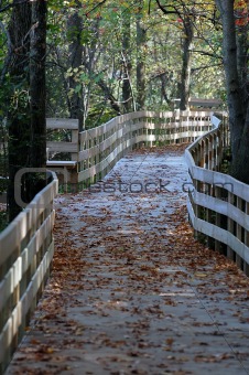 Walkbord in Autumn