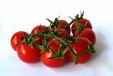group of fresh cherry tomato