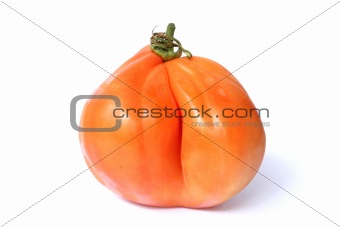 particular tomato side view