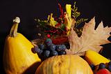 Autumn pumpkin composition