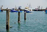 fishing boats and sea gulls