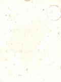 Stained Blotting Paper