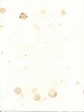 Stained Blotting Paper