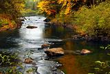 Forest river in the fall