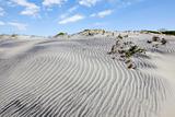Dunes of Hatteras