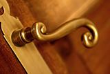 golden handle and door