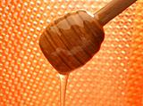 Honey with wood stick pouring. 