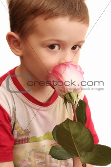 The sight of the boy which smells a pink rose