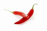 red chili pepper isolated