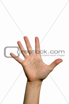 Open palm hand