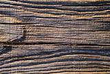Wood plank