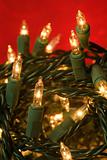 Tangled Christmas lights