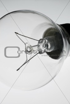 Close-up of a bulb