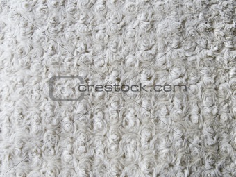 curly wool texture