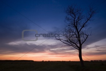 Sunset with a tree