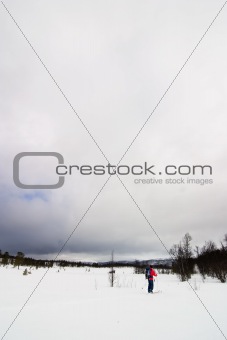 Skiing in Winter