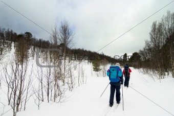 Skiing in Winter