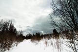 Winter Moody Landscape
