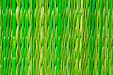 Bamboo detail