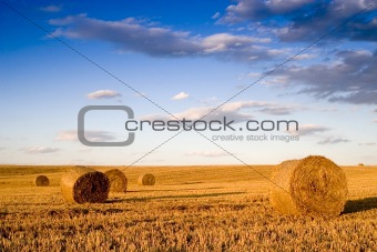 Bale in rural