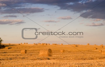 Bale in rural