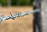 A barbed wire