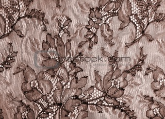 Pink Lace Texture