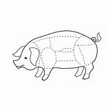 scheme-pork-carcasses