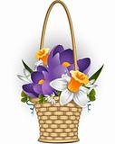 Basket of spring flowers