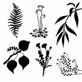 vector set of the plants on white background