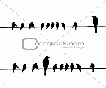 vector silhouettes of the birds on wire
