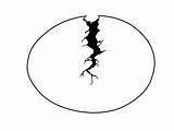 vector silhouette egg with rift on white background
