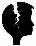 vector silhouette head with rift on white background