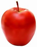 illustration of the fresh red apple