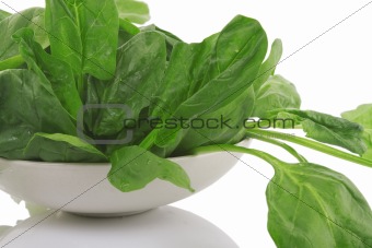 fresh spinach in a white bowl 