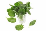 fresh spinach in a glass