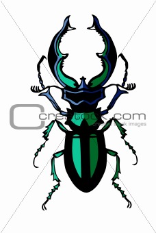 vector silhouette of the bug on white background