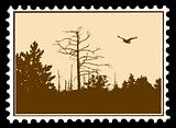 vector silhouette of the bird on postage stamps
