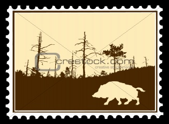 vector silhouette wild boar on postage stamps