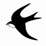 vector silhouette of the swallow on white background
