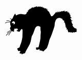vector silhouette of the cat on white background